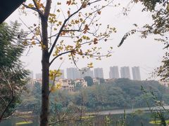 -重庆彩云湖湿地公园