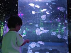 -太奥幻太奇海洋馆