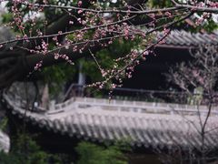 -三苏祠