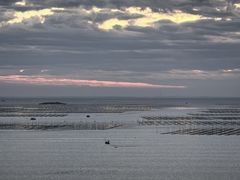 -北岐滩涂