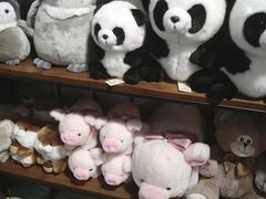 -天虹购物中心(石路店)