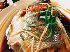 -眉州东坡(团结湖店)