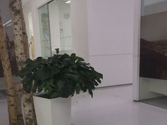 -极简口腔(总院)