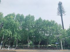 -后襄河公园