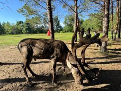 -尊尚柏丽美容SPA