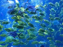 -威海华夏城景区