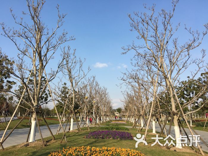 閔行文化公園-圖片-上海周邊遊-大眾點評網