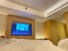 -广州白天鹅宾馆