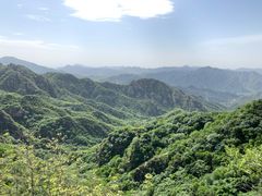 -大岭沟猕猴桃谷风景区