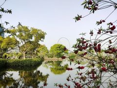 -无锡蠡湖国家湿地公园-蠡园