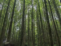 -山王坪喀斯特国家生态公园