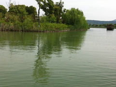 景点-苏州太湖国家湿地公园