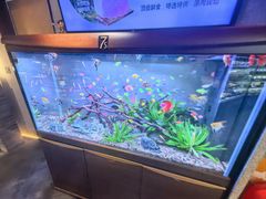-番食园鲜食火锅(高新店)