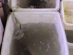 -金海椒罐罐鲢鱼(东方桂苑店)