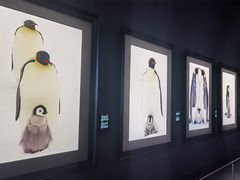 -罗红摄影艺术馆