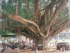 -侯臣咖啡文化村