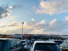 -杨师傅东北烧烤王