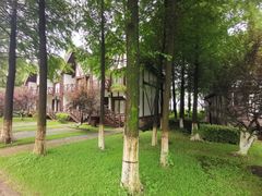 -太阳岛度假酒店