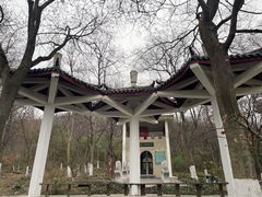 -老山国家森林公园
