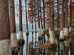 -重庆彩云湖湿地公园