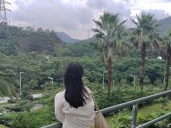 -白石龙音乐公园