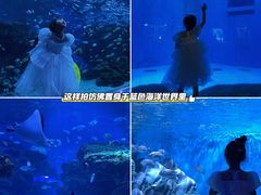 -海合安成都极地海洋公园