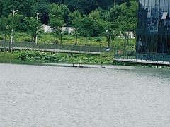 -苏州科技大学(石湖校区)