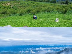 -九皇山景区
