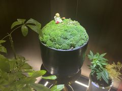 -大桶大足浴(山钢和润荟店)