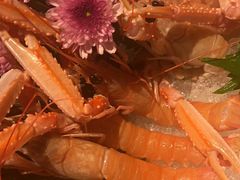 -Mr·Fish鱼鲜生海鲜放题(银泰in99店)