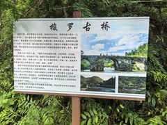 -高荡千年布依古寨旅游景区