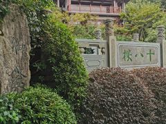 -十八棵（老龙井）御茶园(老龙井店)