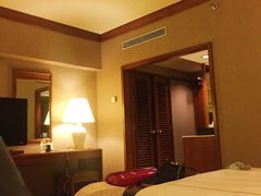 -新加坡瑞士史丹福酒店