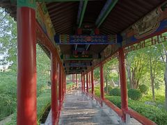 -东山植物园