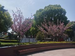-七宝老街-闵行市民文化广场