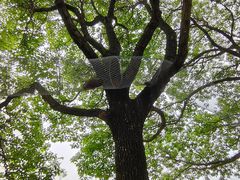 -苏州太湖西山岛开心农场