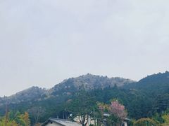 -三千院