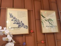 -LANN I 蘭·泰式古法按摩(高岛屋百货店)