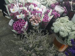 -王四营海鲜市场