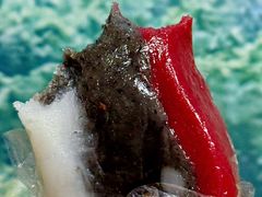 -江南春(中山中路店)