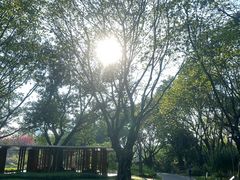 -云溪植物园