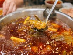 -肖肖酸萝卜鱼火锅(总店)