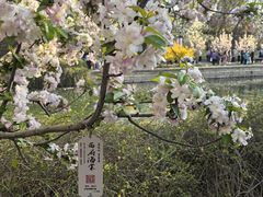 -元大都城垣遗址公园