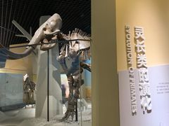 -国家自然博物馆