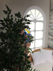 -小鬼当佳儿童摄影(回龙观店)
