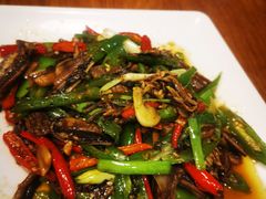 -三猫黑鱼花(南大店)