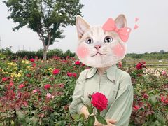 -武汉紫薇都市田园