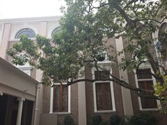 -香港大学