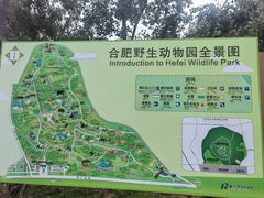 -合肥野生动物园