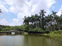 -华南国家植物园-售票处